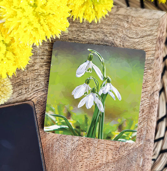 SNOWDROPS magnet