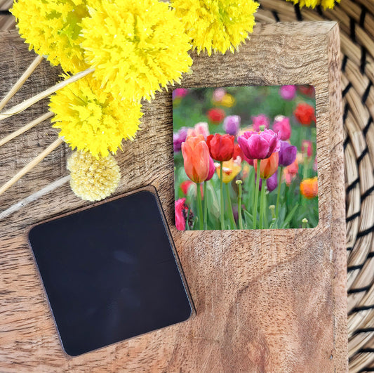 Tulip flower illustration | Wooden fridge magnet | Botanical