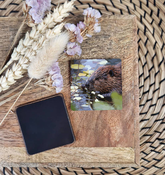 Beaver illustration | Wooden fridge magnet | British wildlife