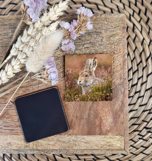 Mountain hare illustration | Wooden fridge magnet | British countryside
