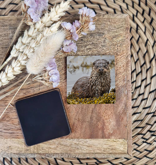 Otter illustration | Wooden fridge magnet | British wildlife