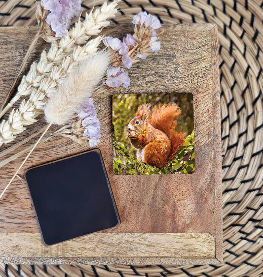 Red squirrel illustration | Wooden fridge magnet | Woodland animals