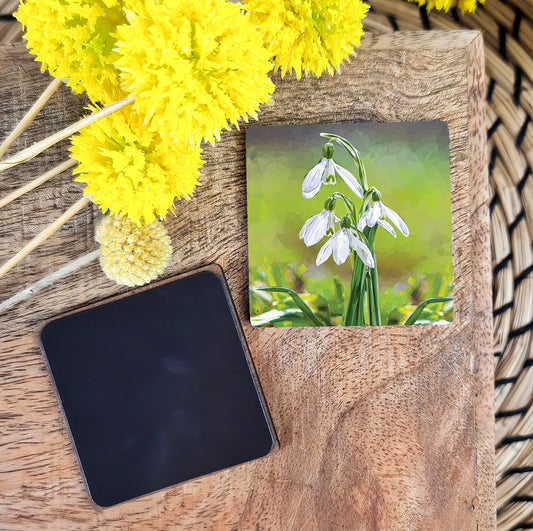 Snowdrop flowers illustration | Wooden fridge magnet | British wildflowers