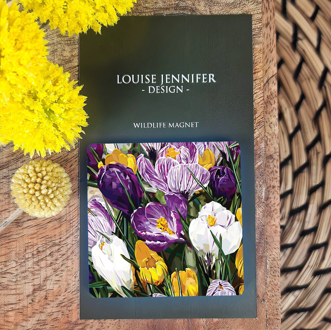 CROCUS magnet