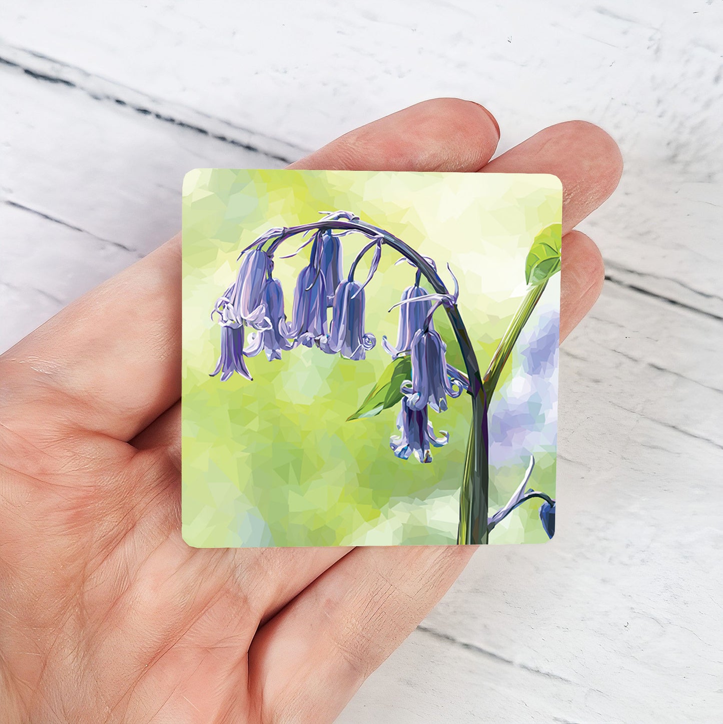BLUEBELLS magnet