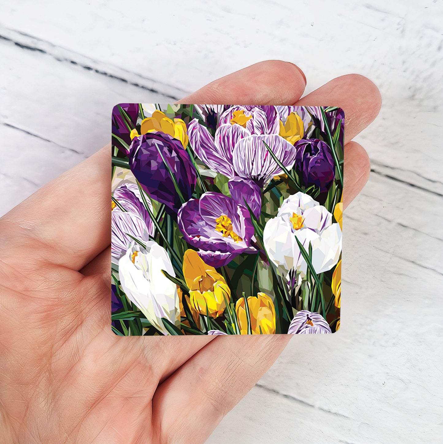 CROCUS magnet